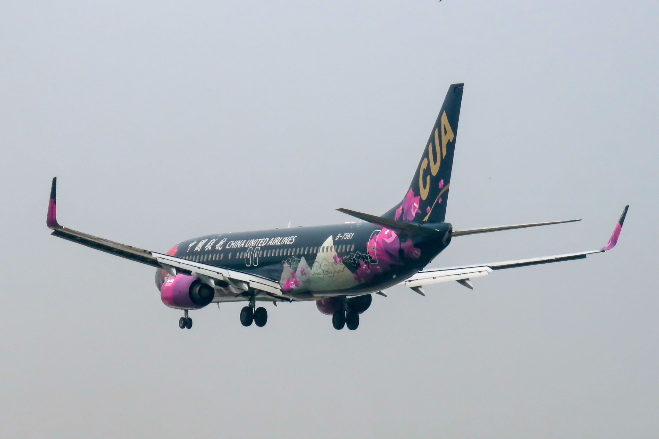 An airliner on a wet apron in the rain