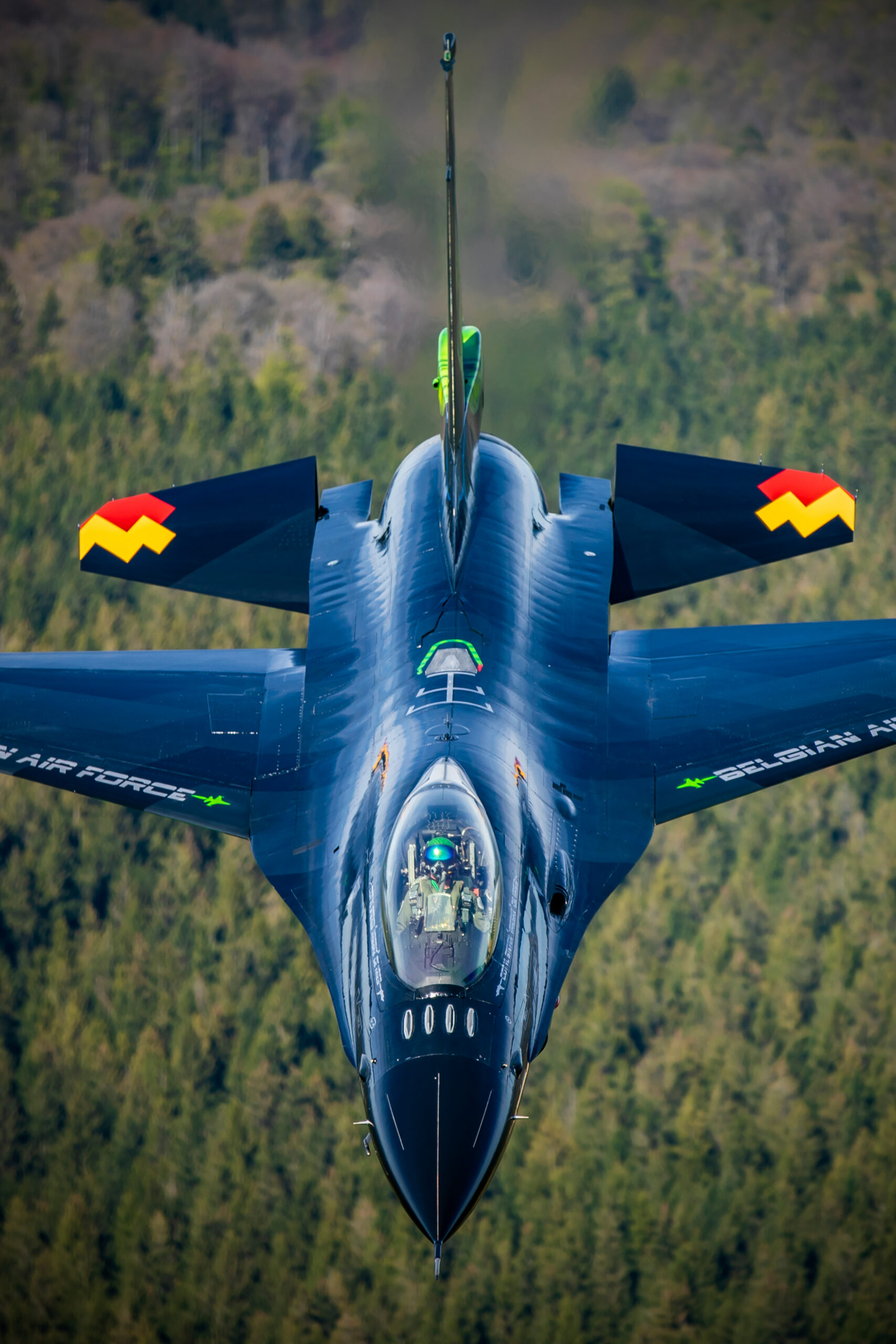 Belgian Air Force F-16 Dream Viper special scheme head-on over forest