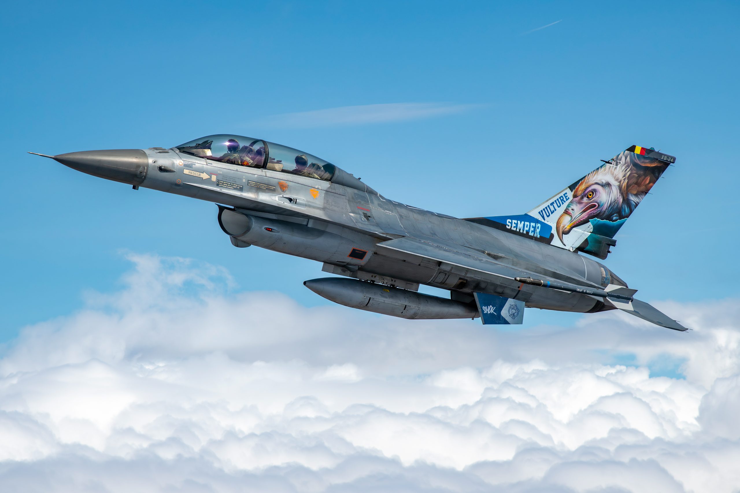 Belgian Air Force F-16BM with vulture tail art in profile above a cloud layer with clean sky around it