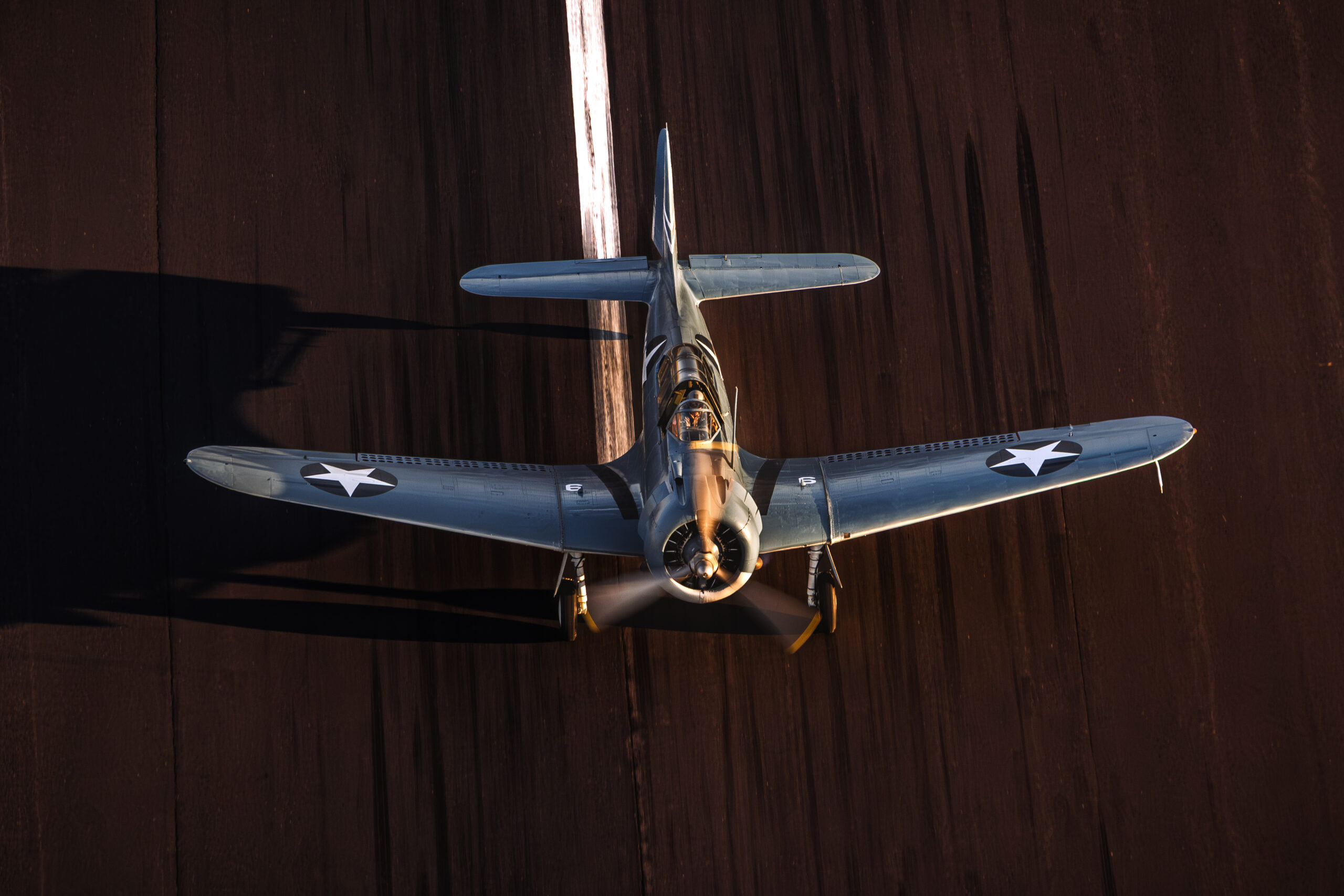 Douglas SBD Dauntless warbird climbing out on take-off with gear retracting
