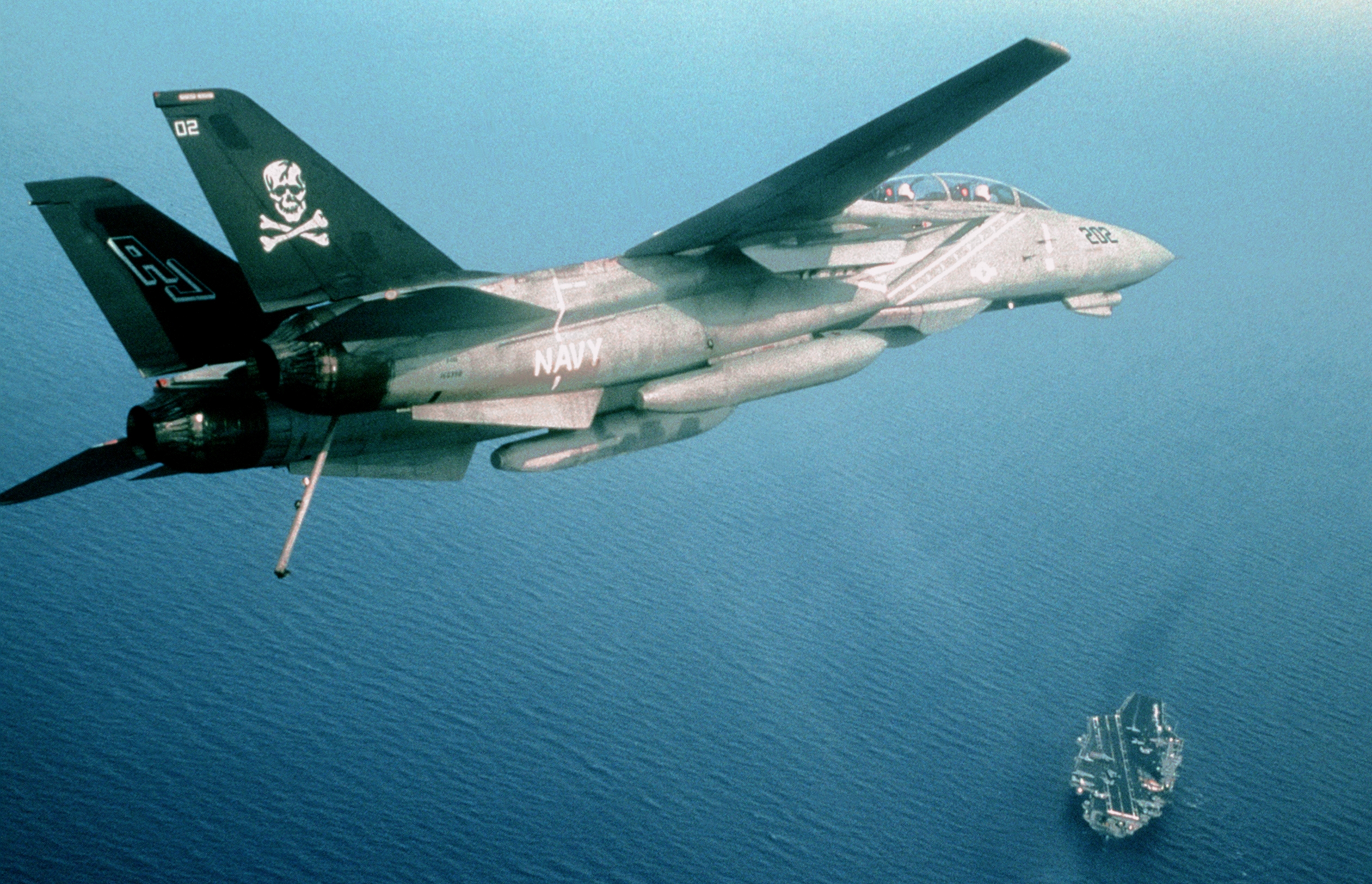 Grumman F-14 Tomcat: The Fleet Defender