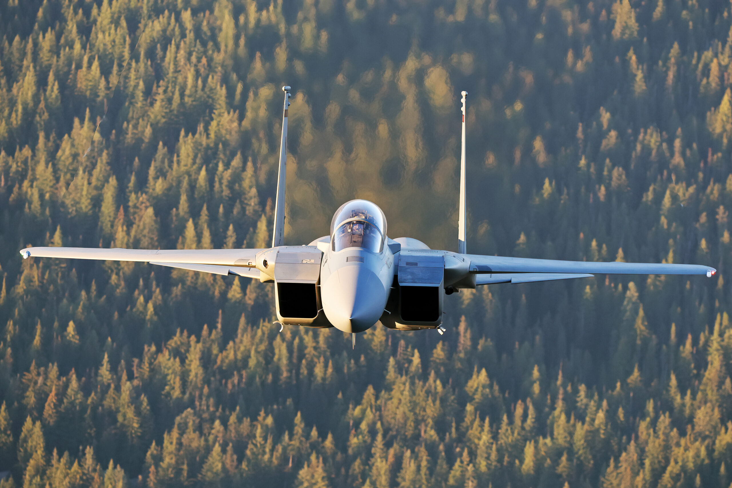 F-15EX Eagle II head-on air to air over forested terrain