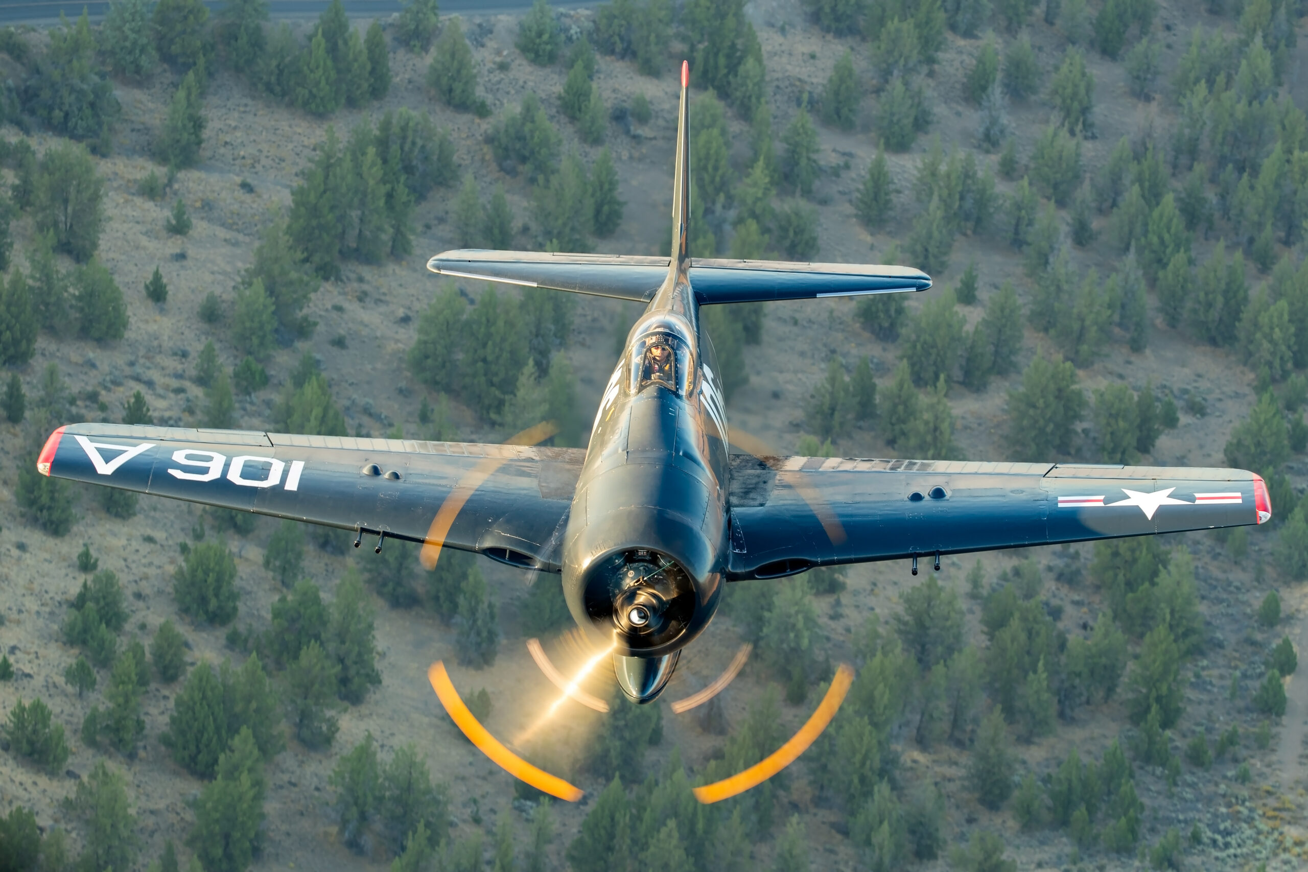 Dark blue Grumman F8F Bearcat head-on with spinning prop and sunlit blades