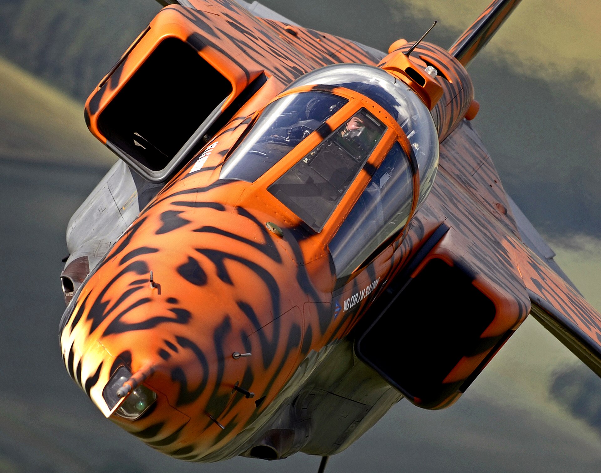 Specially painted RAF SEPECAT Jaguar in flight