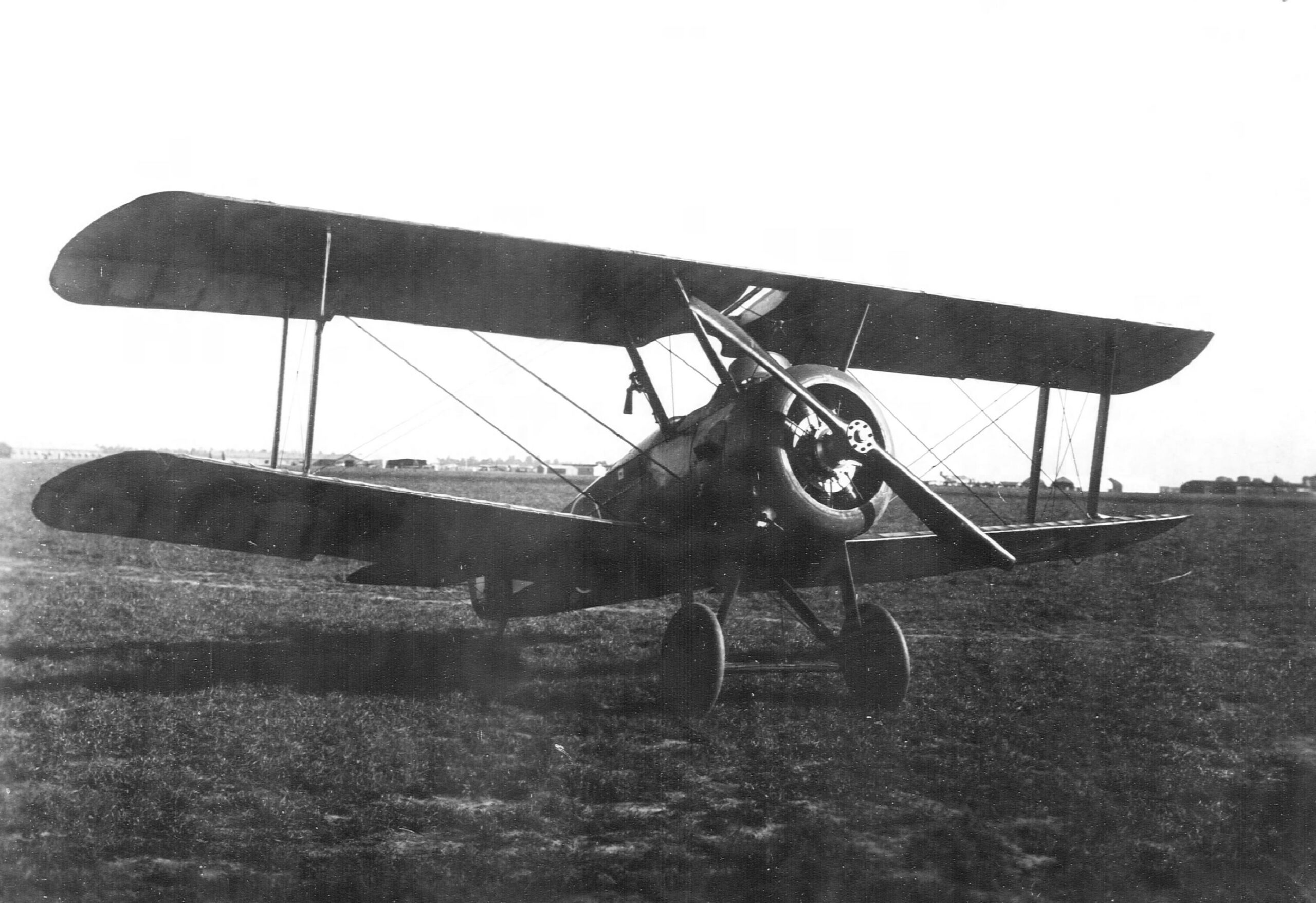 WWI Biplanes: The Birth of Air Combat
