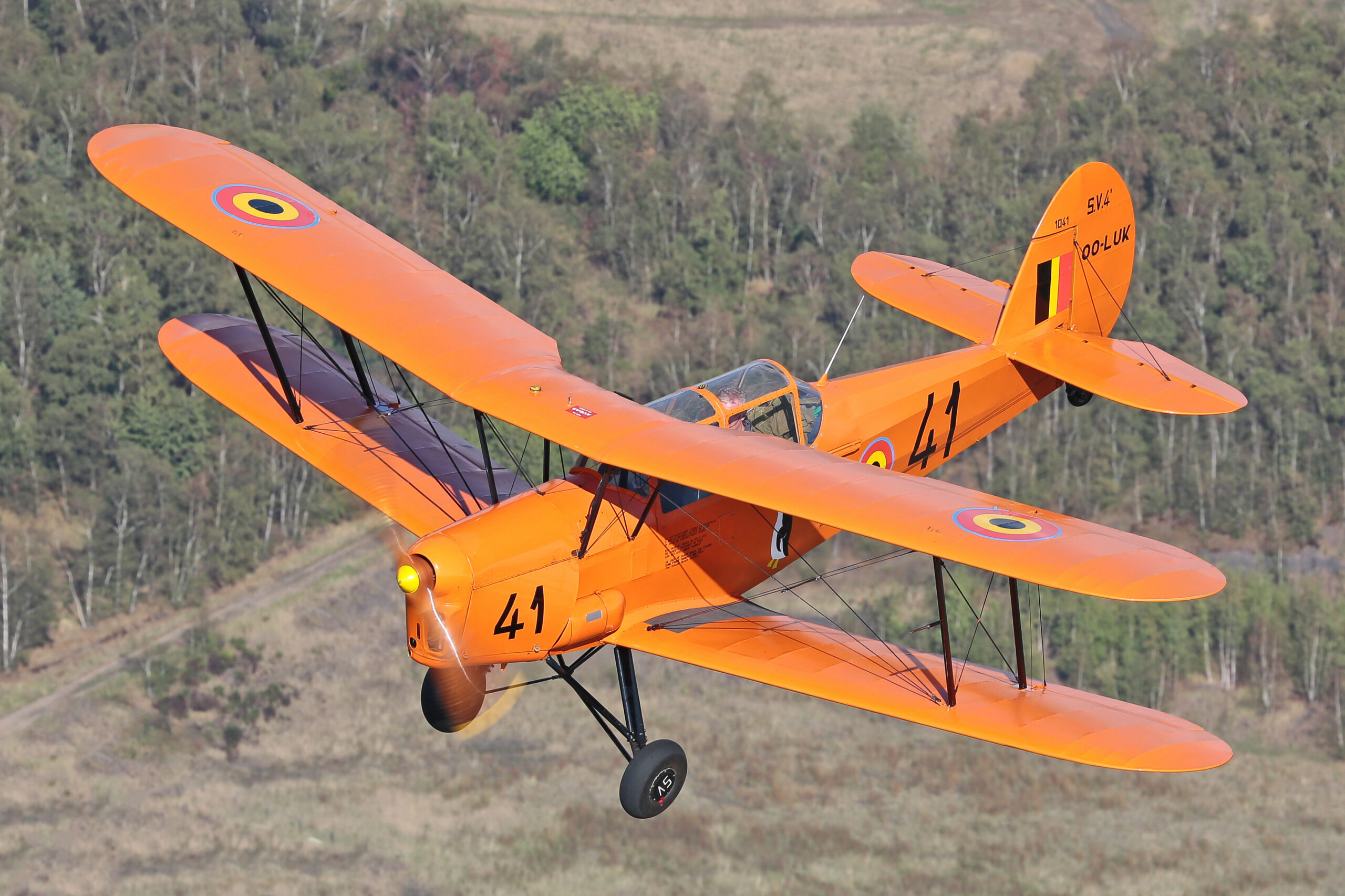 Bright orange Stampe SV-4B biplane OO-LUK banking over scrubland and trees, propeller blurred and pilot visible in the open cockpit