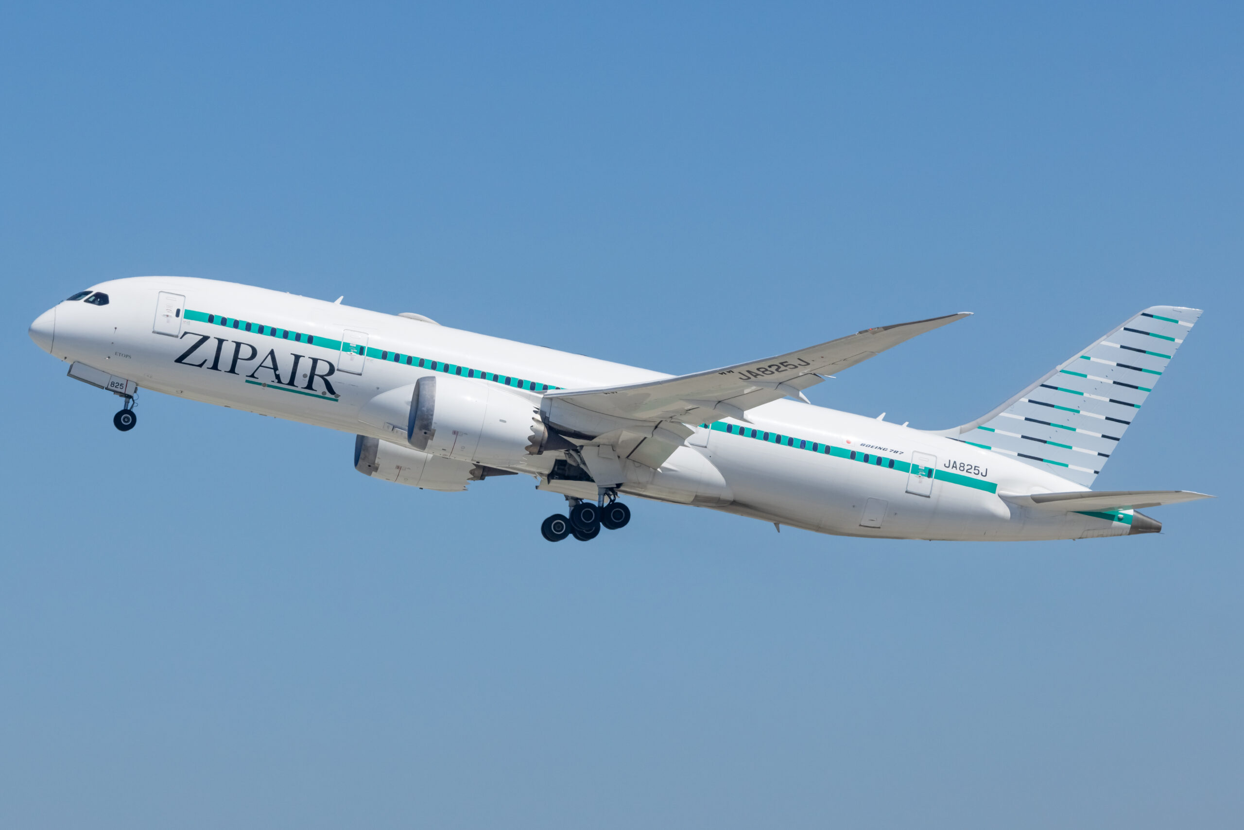 ZIPAIR Boeing 787-8 JA825J in white and green livery climbing out with landing gear retracting