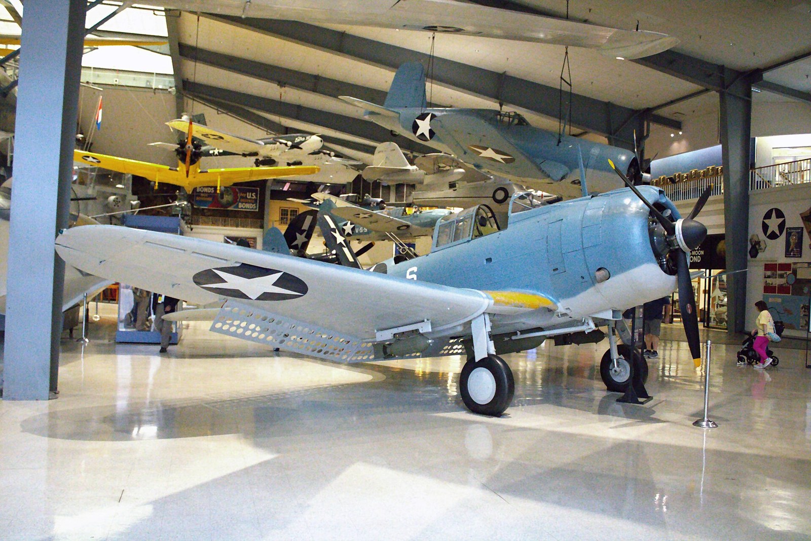 A restored blue-grey and light grey United States Navy dive bomber standing on its wheels on a polished museum floor, wings spread, under gallery lighting.