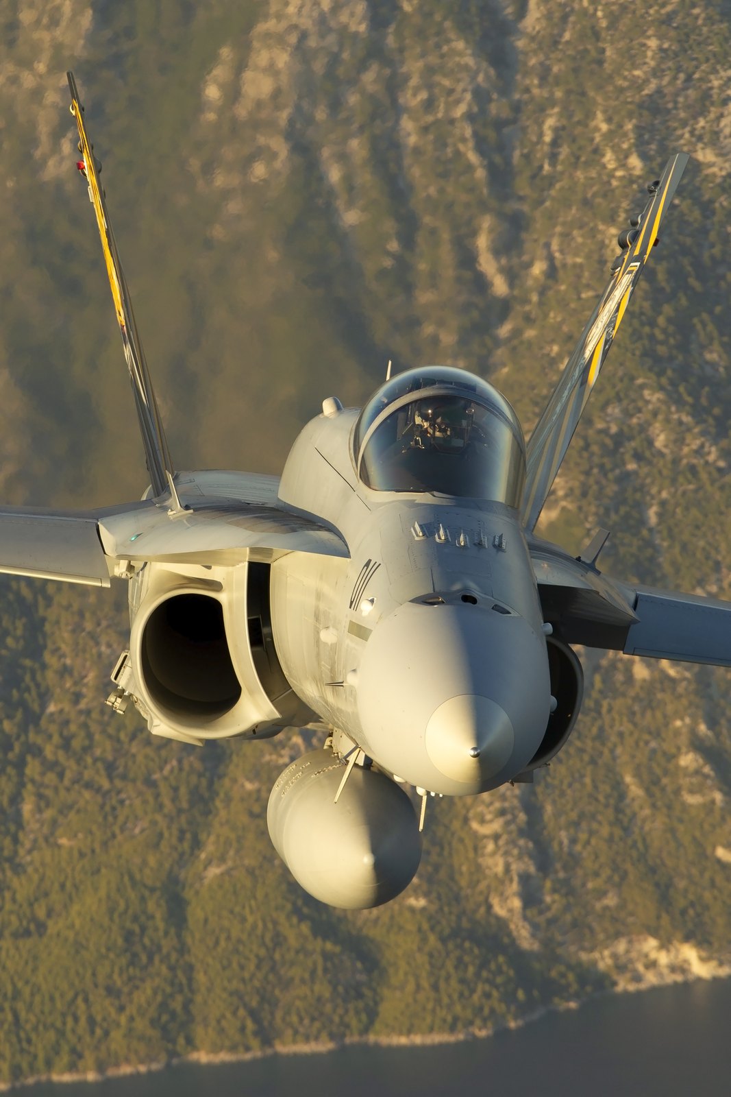 A Swiss Air Force F/A-18C Hornet with tiger markings on both fins, photographed from above over the Greek coast